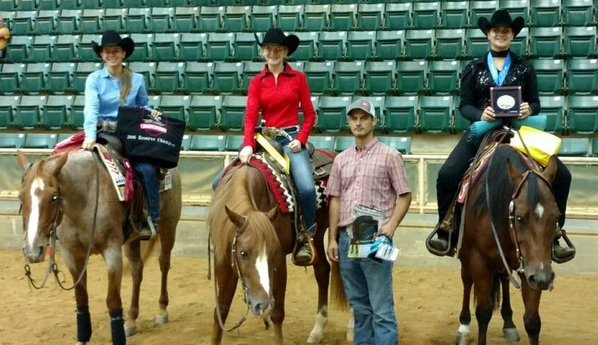 reining horse trainers